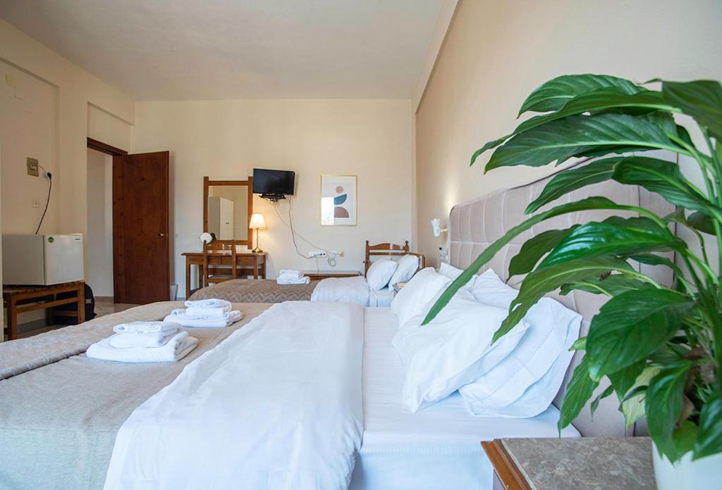 Hotel Koukonas à Galaxídhion Extérieur photo